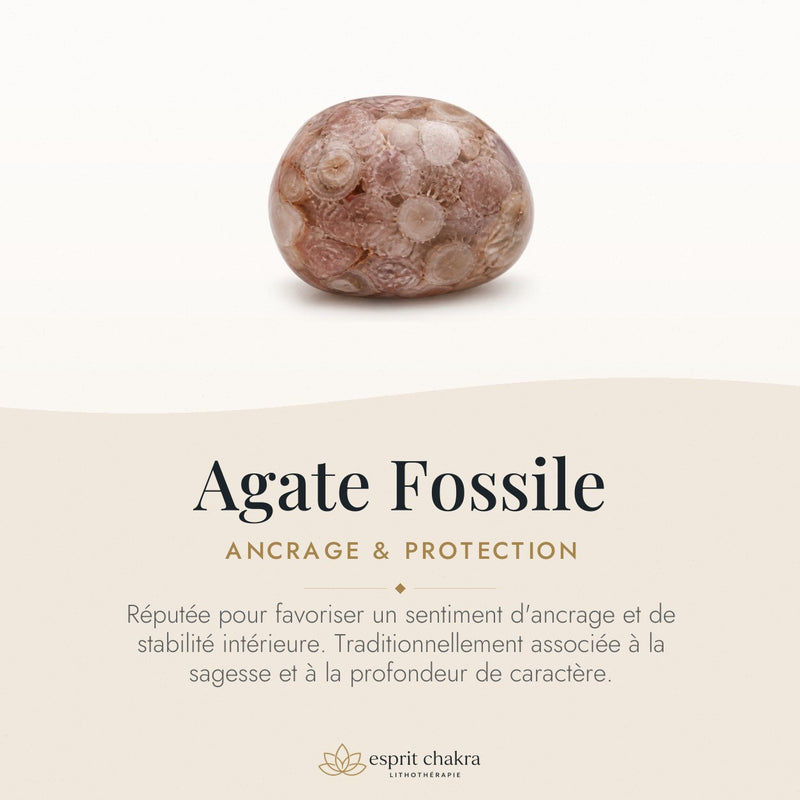 Bracelet Agate Fossile 6 mm – Mémoire Profonde