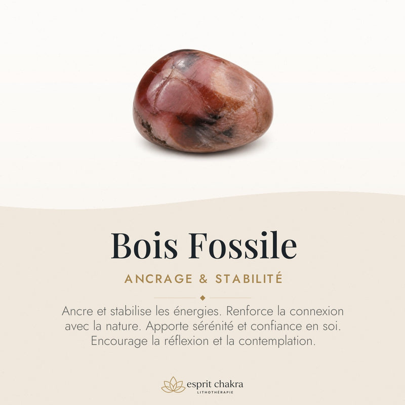 Bracelet Bois Fossile 6 mm – Réconfort des Âges