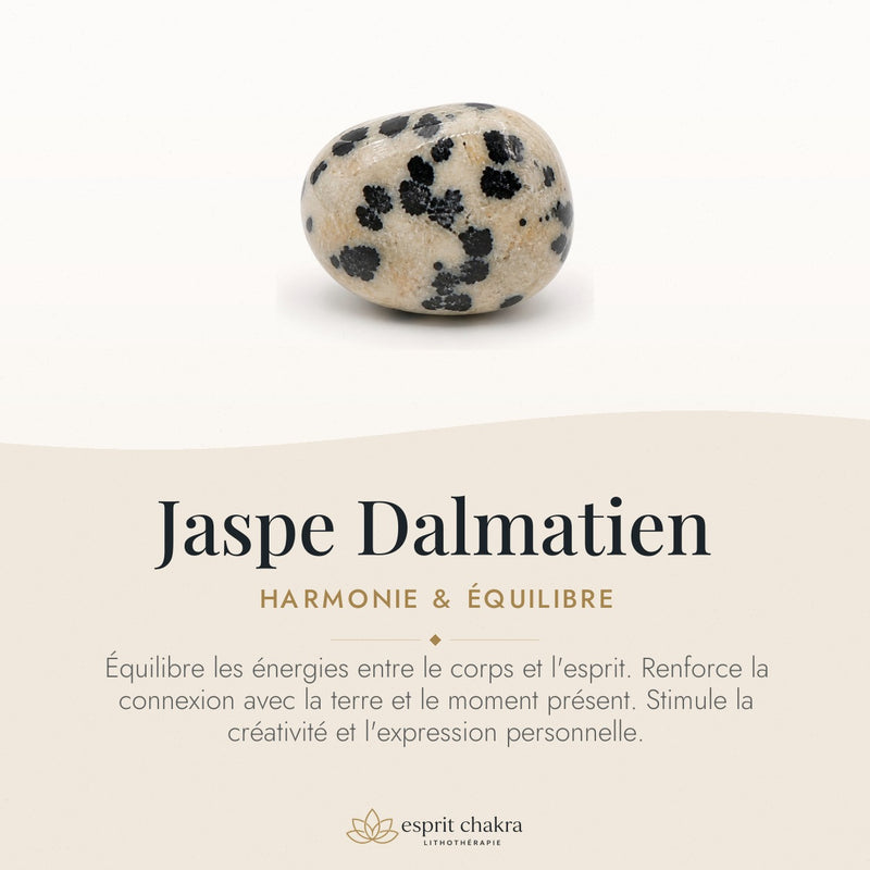 Bracelet Jaspe Dalmatien 8 mm – Cœur Clair