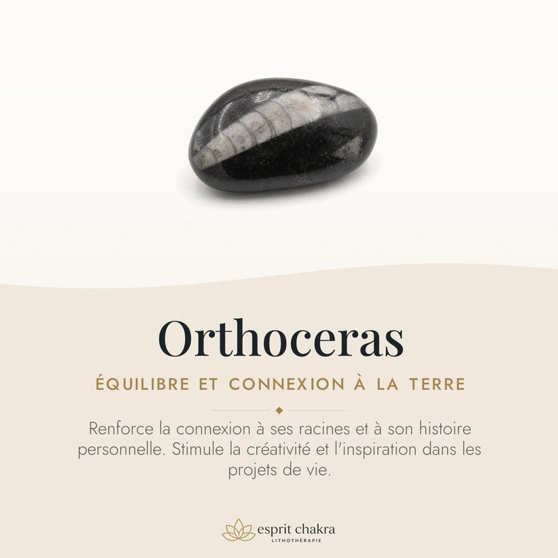Bracelet Orthoceras 8 mm – Mesure Douce