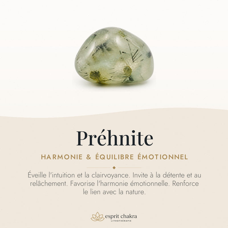 Bracelet Préhnite 6 mm – Cœur Intuitif