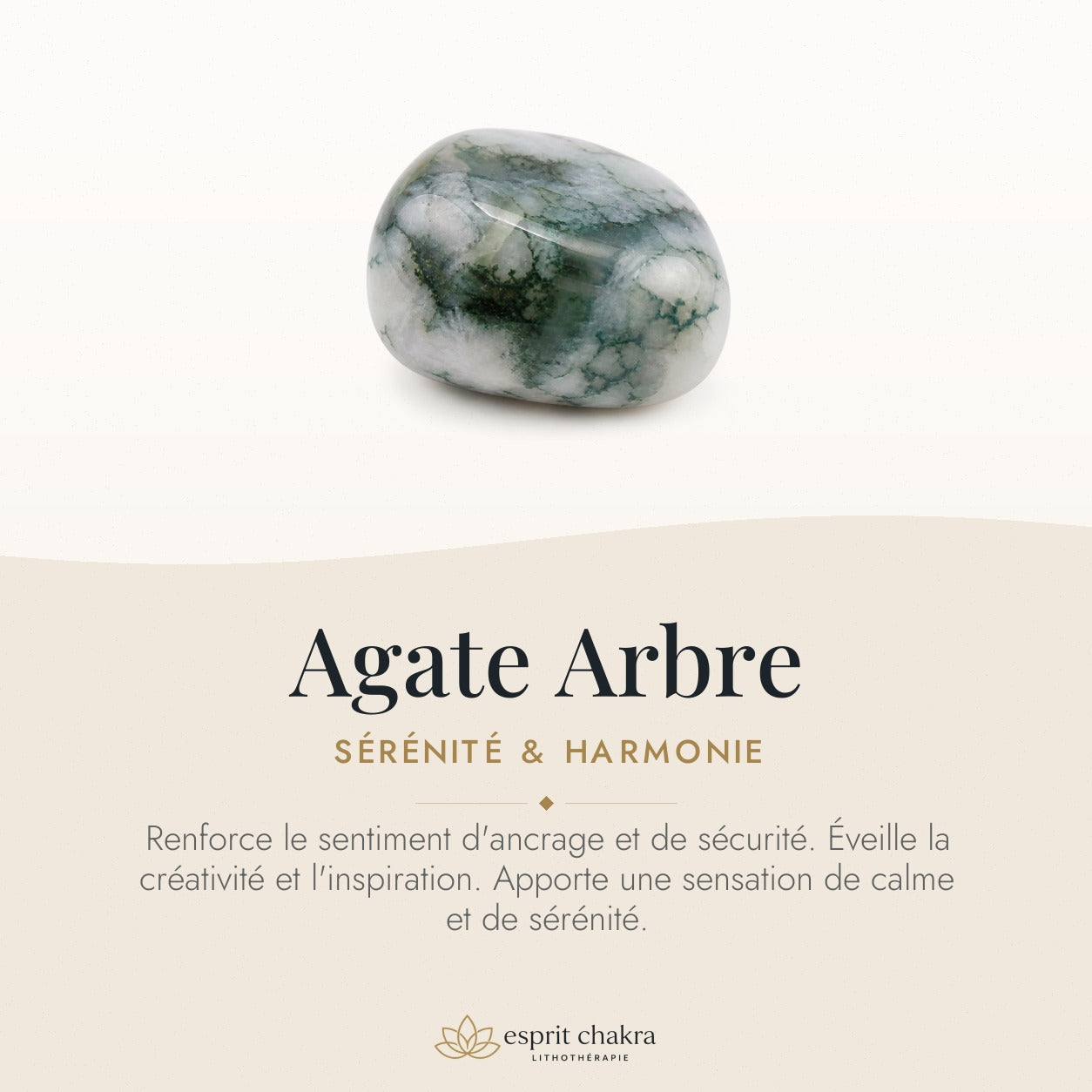 Bracelet Agate Arbre 6 mm – Sérénité des Racines — vertus de la pierre