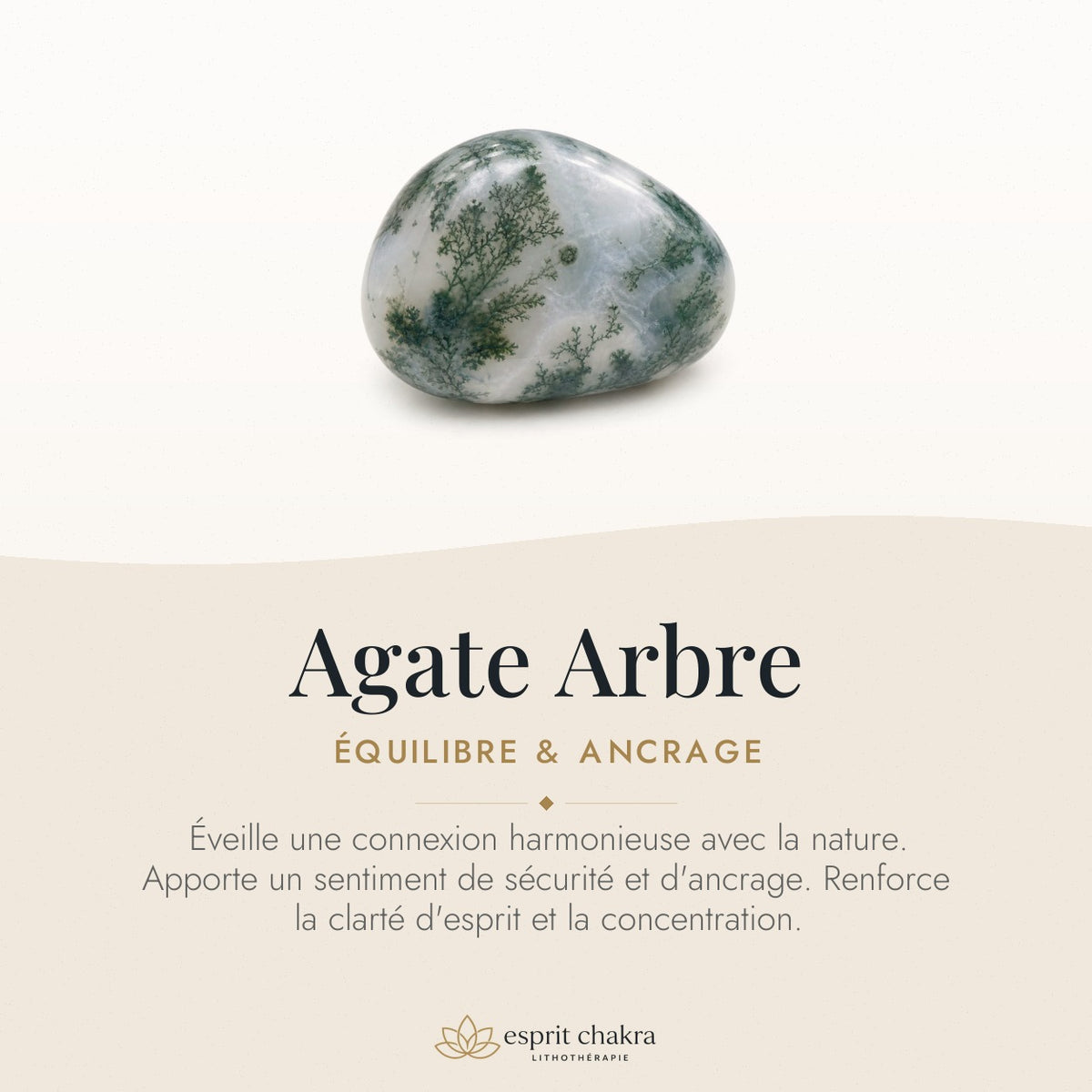 Bracelet Agate Arbre 8 mm – Souffle du Voyage — vertus de la pierre