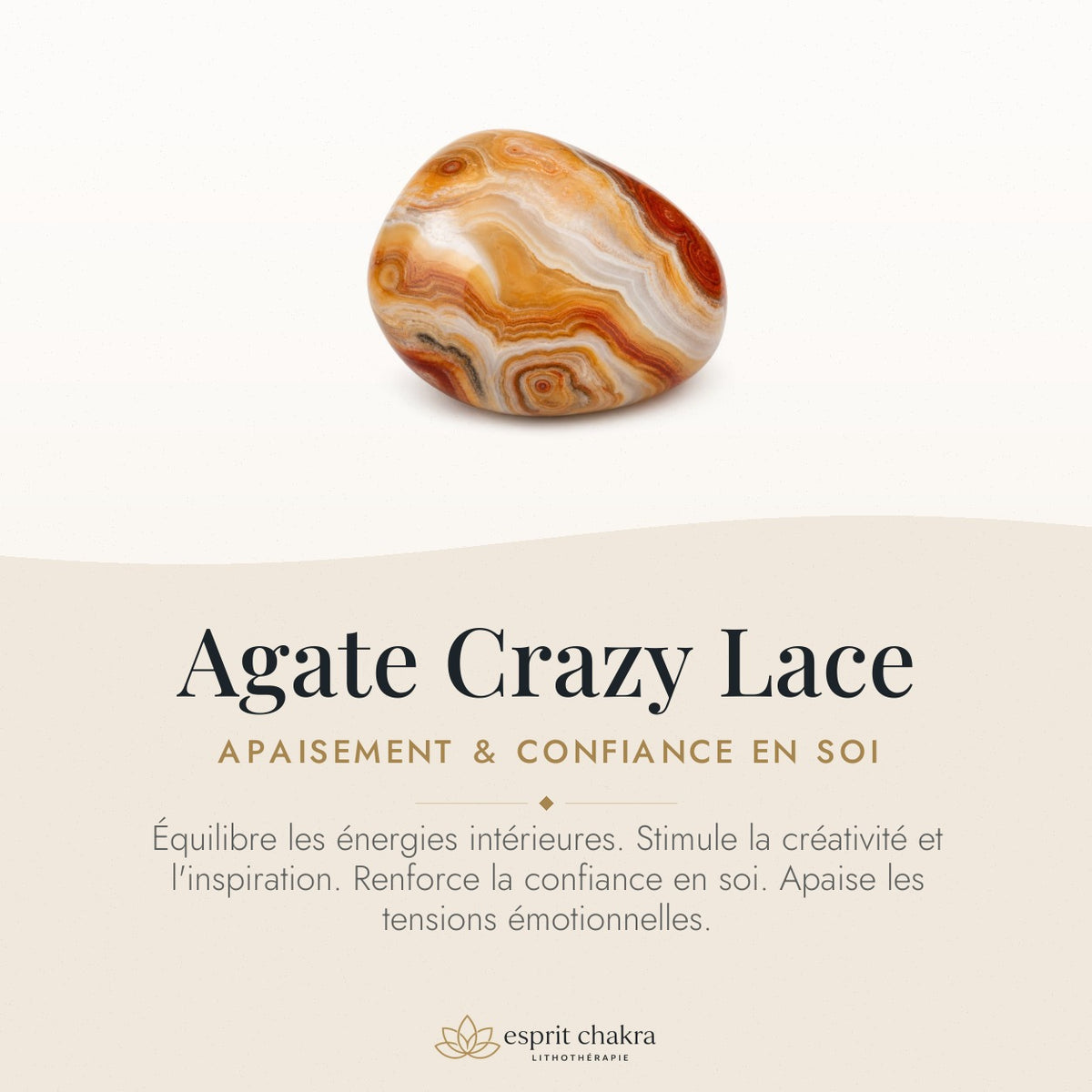Bracelet Agate Crazy Lace 10 mm – Joie Légère — vertus de la pierre