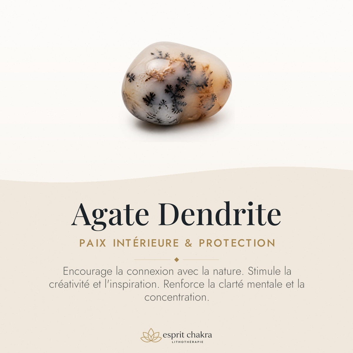 Bracelet Agate Dendrite 6 mm – Paix Intérieure — vertus de la pierre