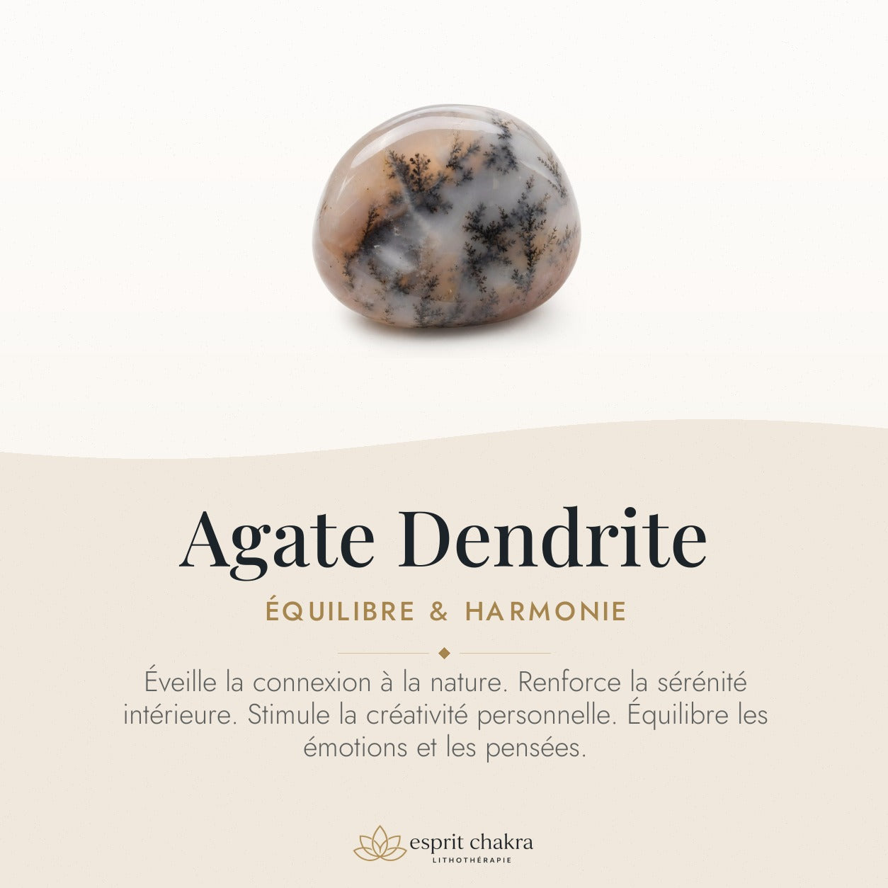 Bracelet Agate Dendrite 8 mm – Patience Sereine — vertus de la pierre