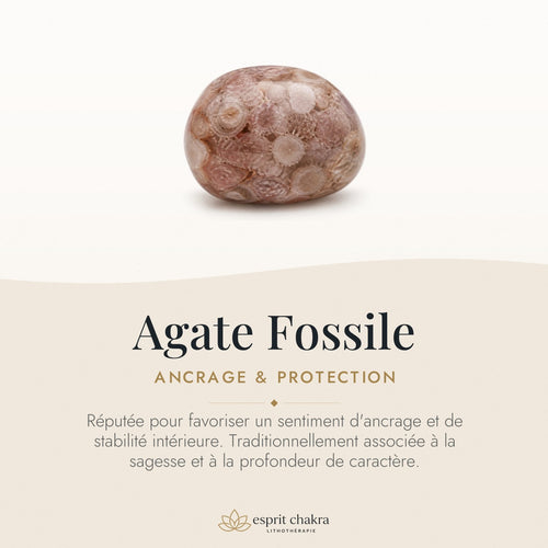 Bracelet Agate Fossile 6 mm – Mémoire Profonde — vertus de la pierre