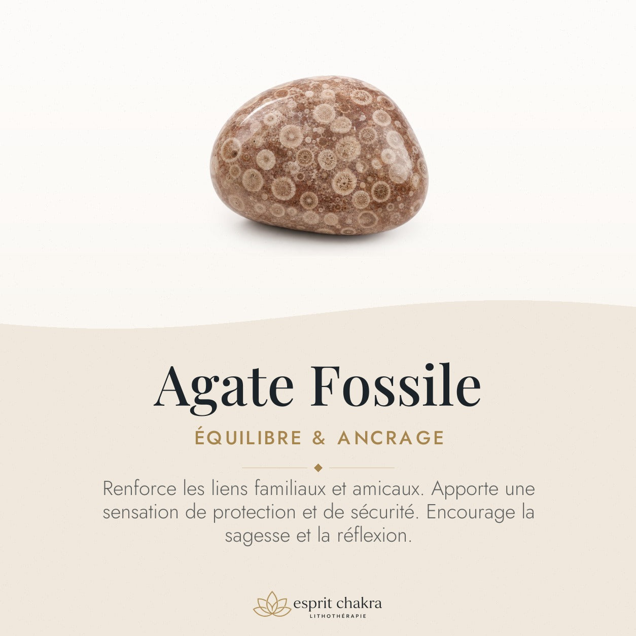 Bracelet Agate Fossile 8 mm – Souffle du Repos — vertus de la pierre