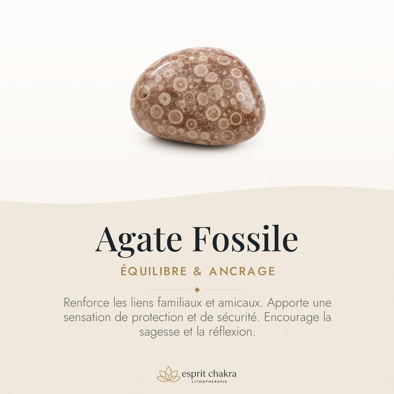 Bracelet Agate Fossile 8 mm – Souffle du Repos