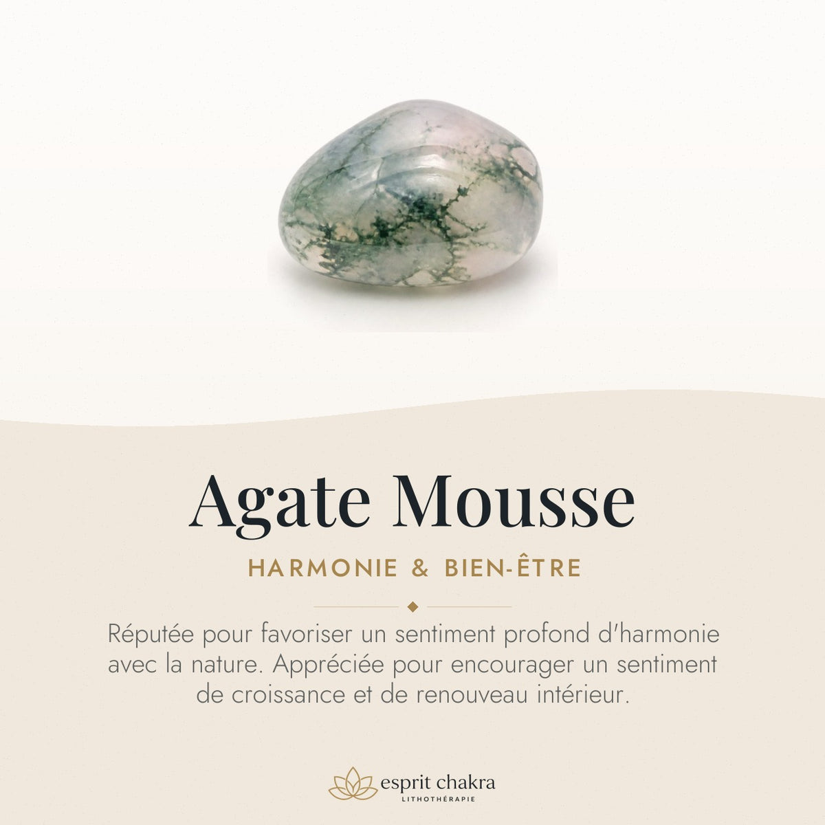 Bracelet Agate Mousse 6 mm – Harmonie — vertus de la pierre