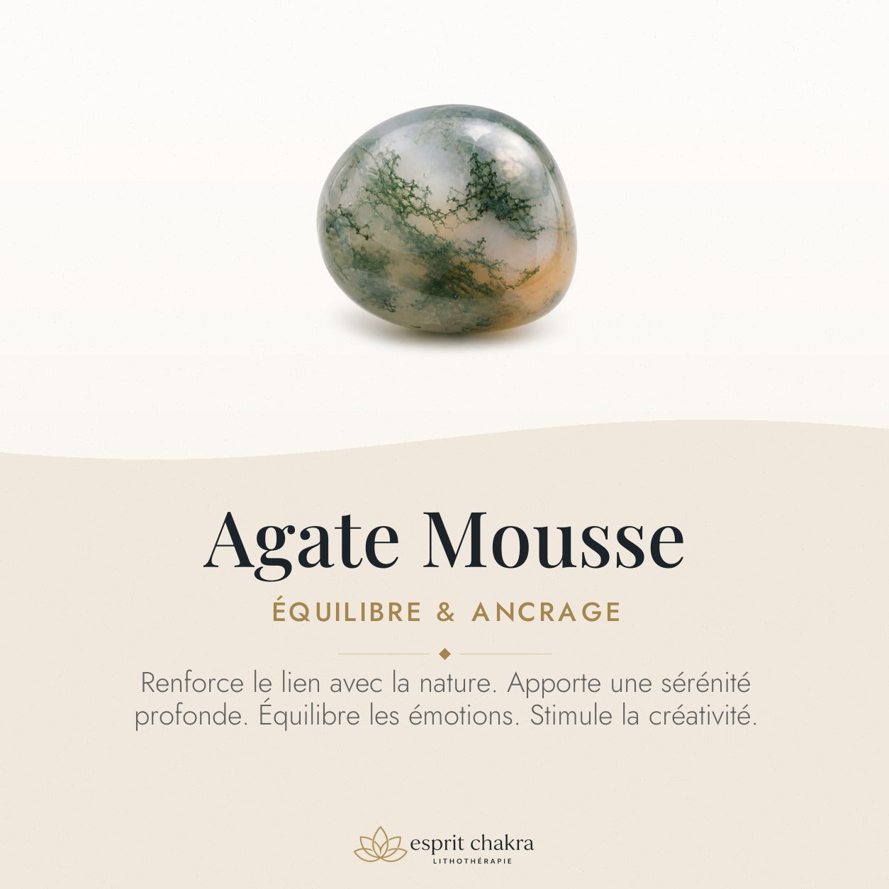 Bracelet Agate Mousse 8 mm – Ancrage Vivant — vertus de la pierre