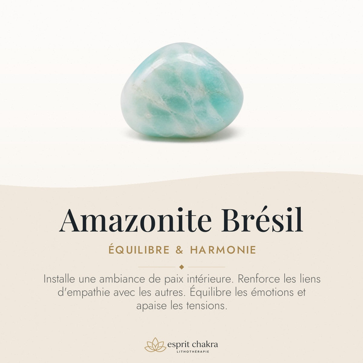 Bracelet Amazonite 8 mm – Parole Franche — vertus de la pierre