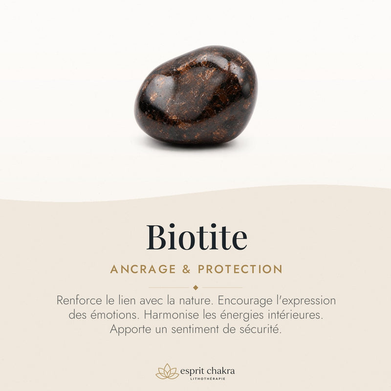 Bracelet Biotite 8 mm – Route Douce
