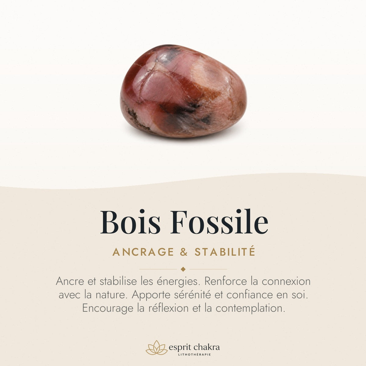 Bracelet Bois Fossile 6 mm – Réconfort des Âges — vertus de la pierre