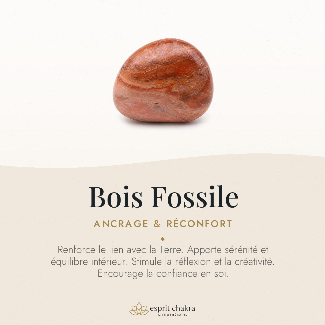 Bracelet Bois Fossile 8 mm – Route Ouverte — vertus de la pierre