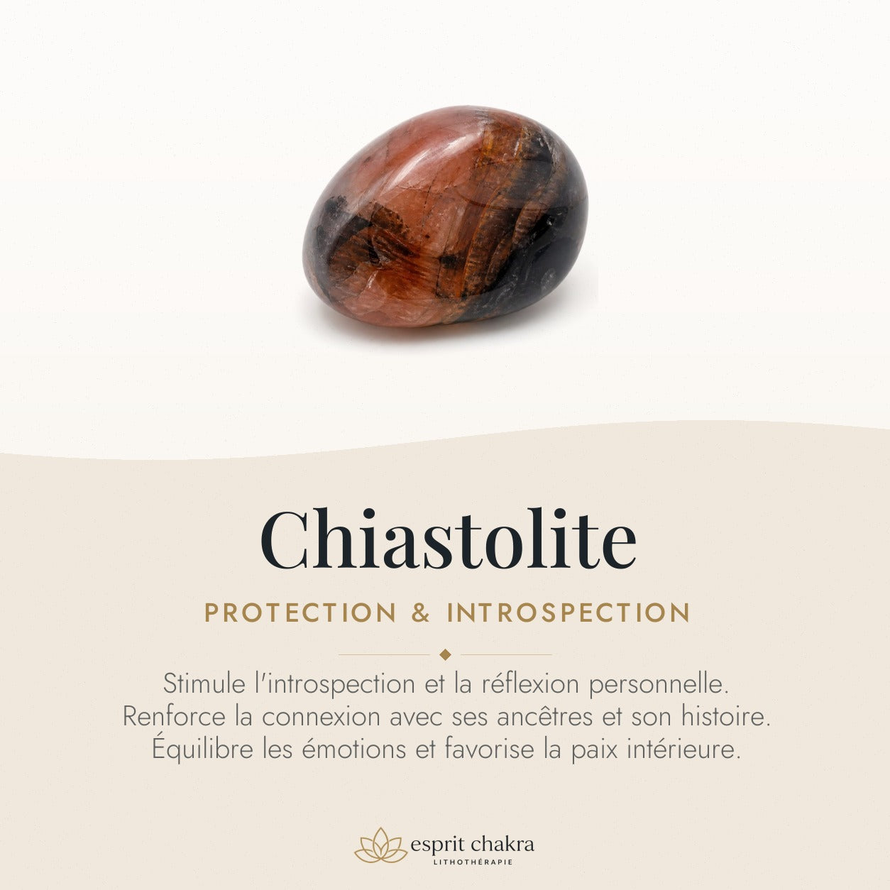 Bracelet Chiastolite 6 mm – Équilibre de la Traversée — vertus de la pierre