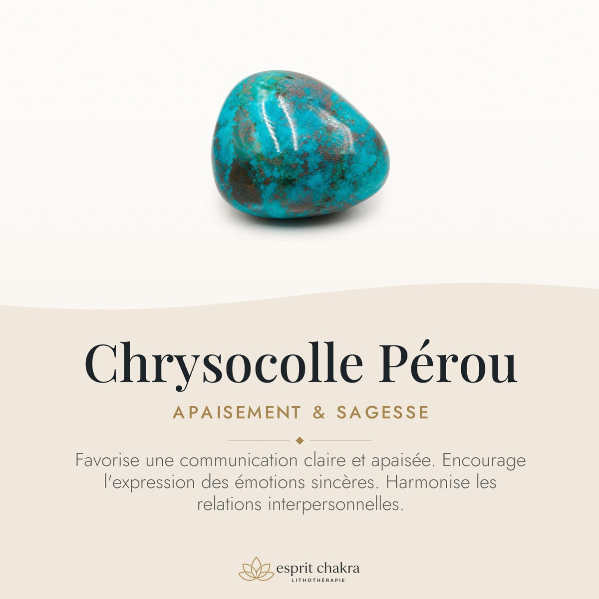 Bracelet Chrysocolle 10 mm – Autorité Douce — vertus de la pierre