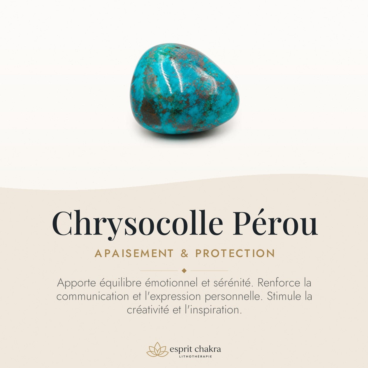 Bracelet Chrysocolle 10 mm – Sagesse Douce — vertus de la pierre
