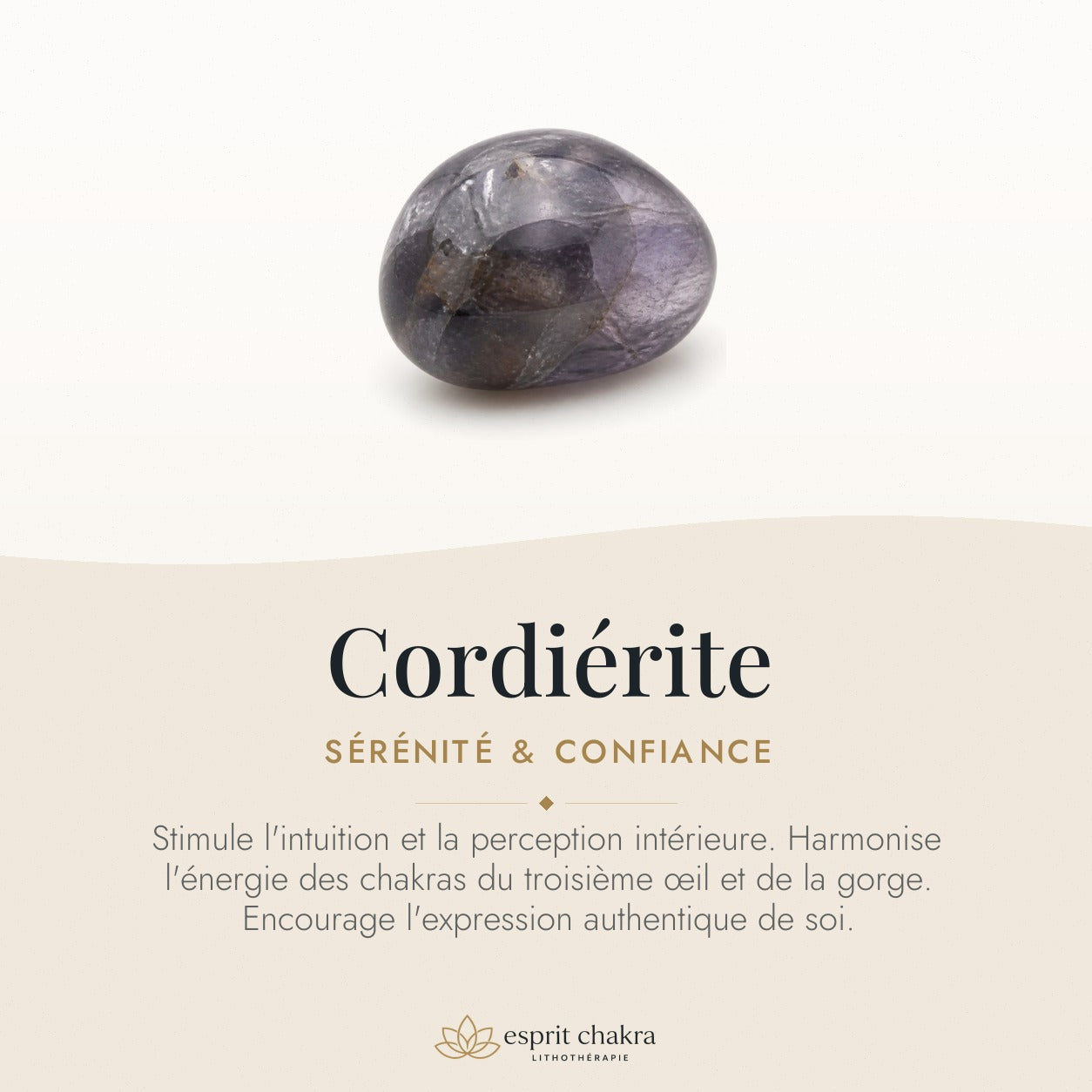 Bracelet Cordiérite 6 mm – Intuition Marine — vertus de la pierre