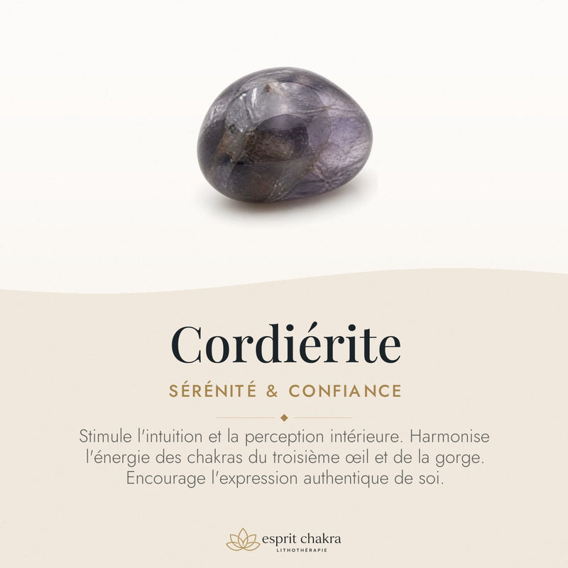 Bracelet Cordiérite 6 mm – Intuition Marine