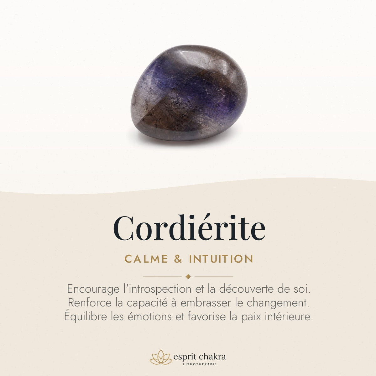 Bracelet Cordiérite 8 mm – Confiance du Cap — vertus de la pierre