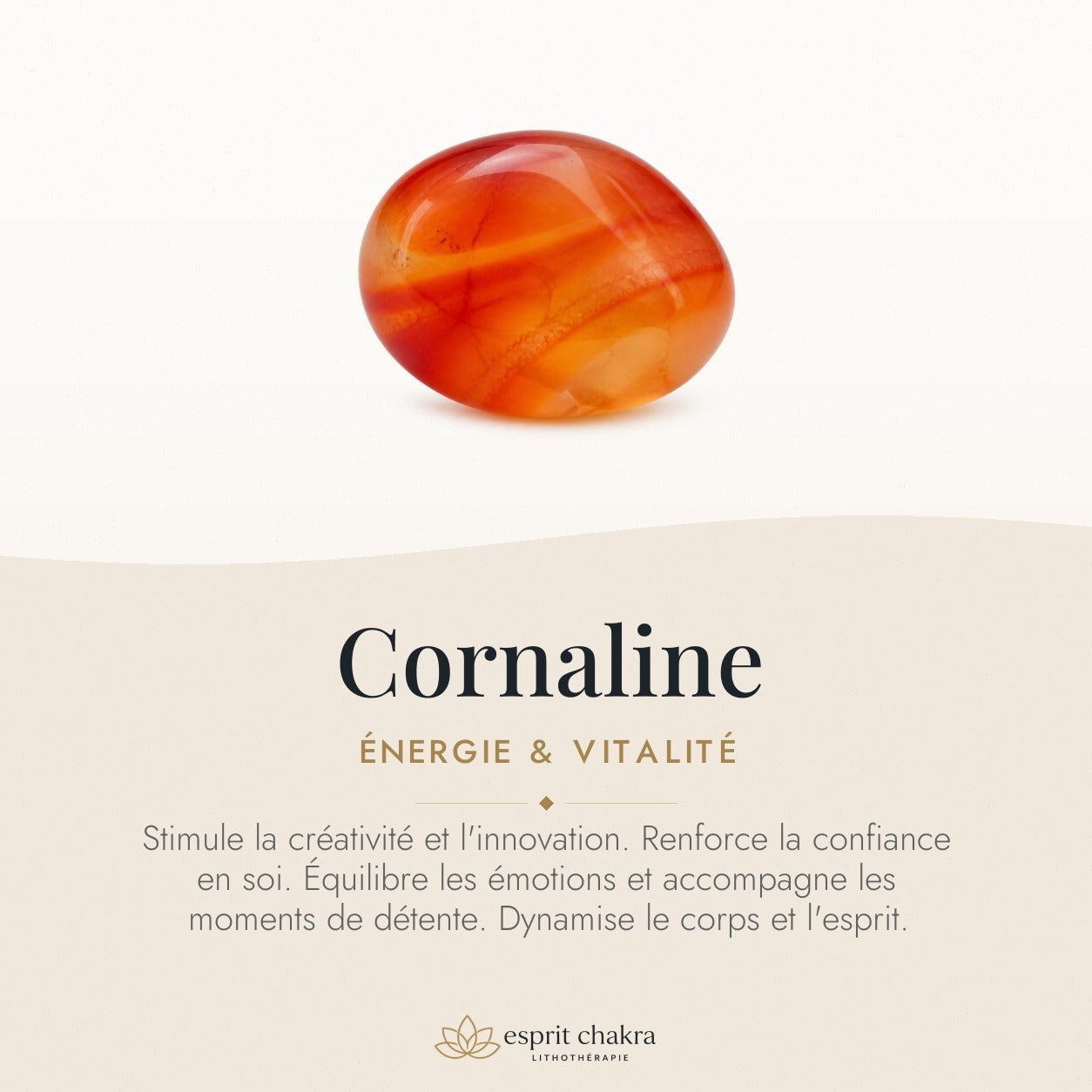 Bracelet Cornaline 6 mm – Énergie — vertus de la pierre