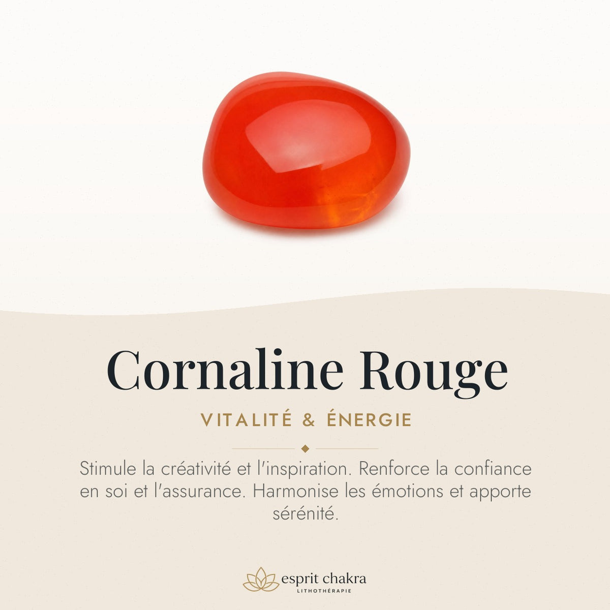 Bracelet Cornaline Rouge 8 mm – Désir Ardent — vertus de la pierre