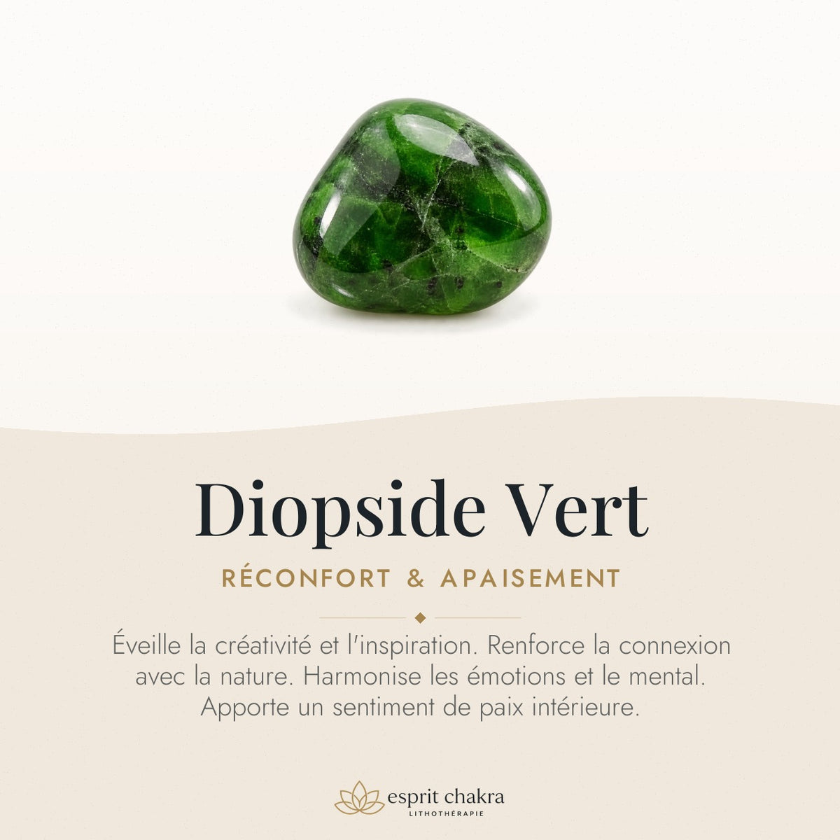 Bracelet Diopside Vert 6 mm – Rencontre Sereine — vertus de la pierre