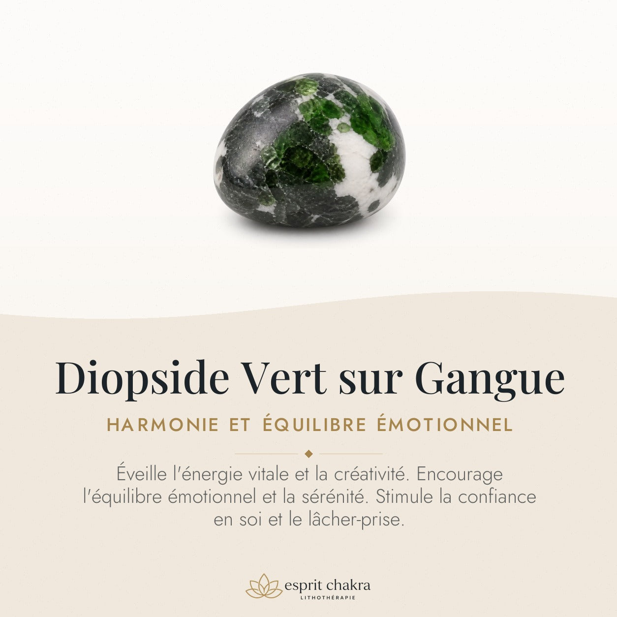 Bracelet Diopside Vert 8 mm – Partage Doux — vertus de la pierre