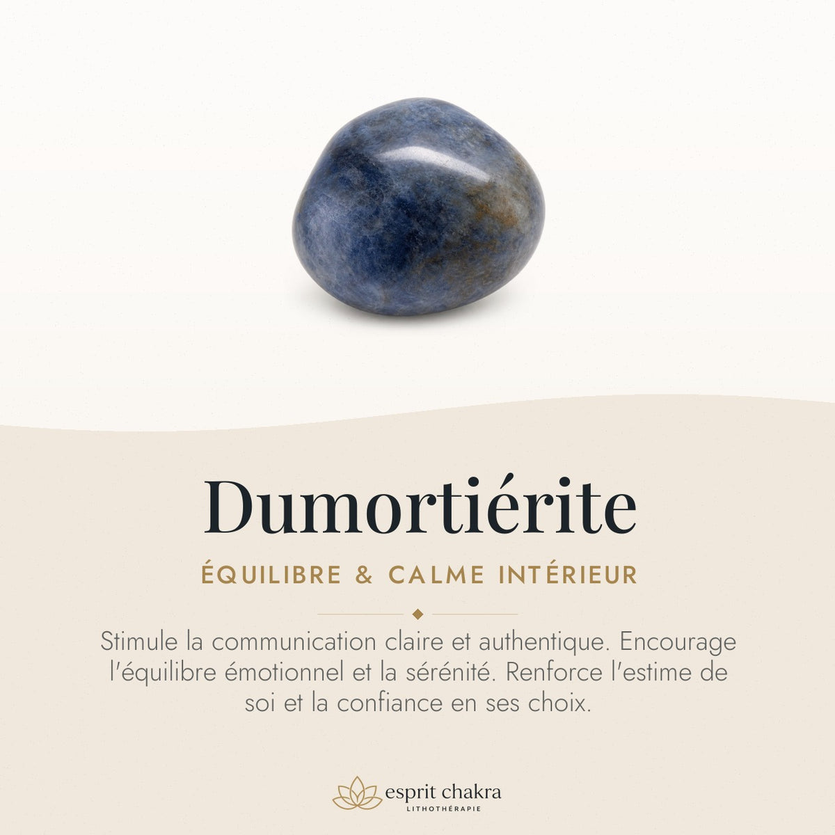 Bracelet Dumortiérite 8 mm – Persévérance Douce — vertus de la pierre