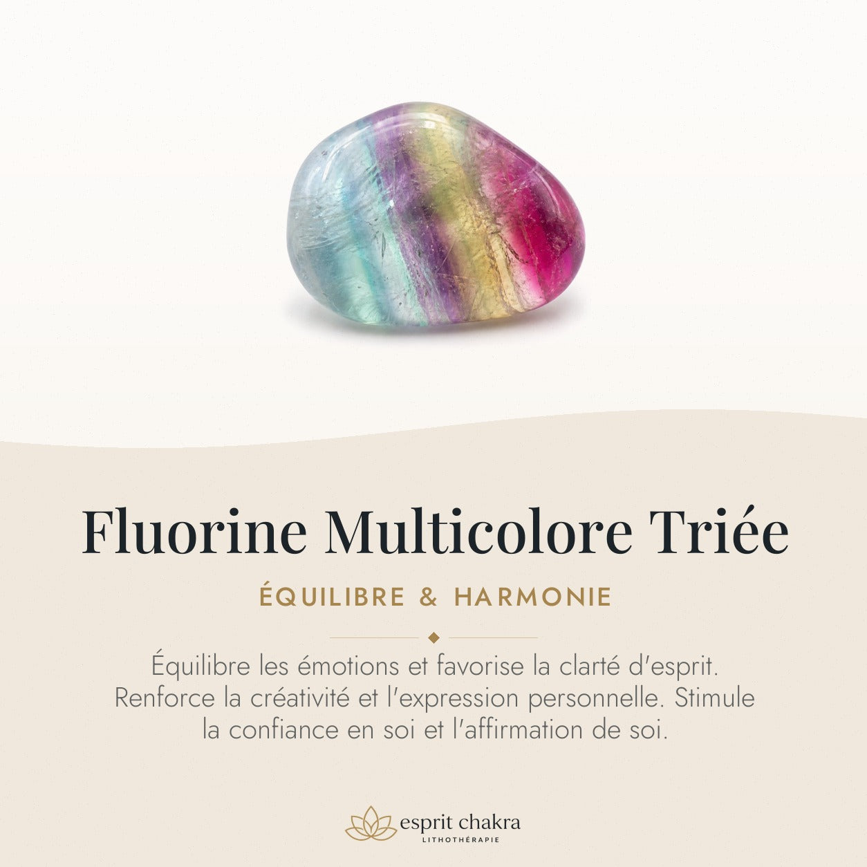 Bracelet Fluorine Multicolore 8 mm – Accueil Doux — vertus de la pierre