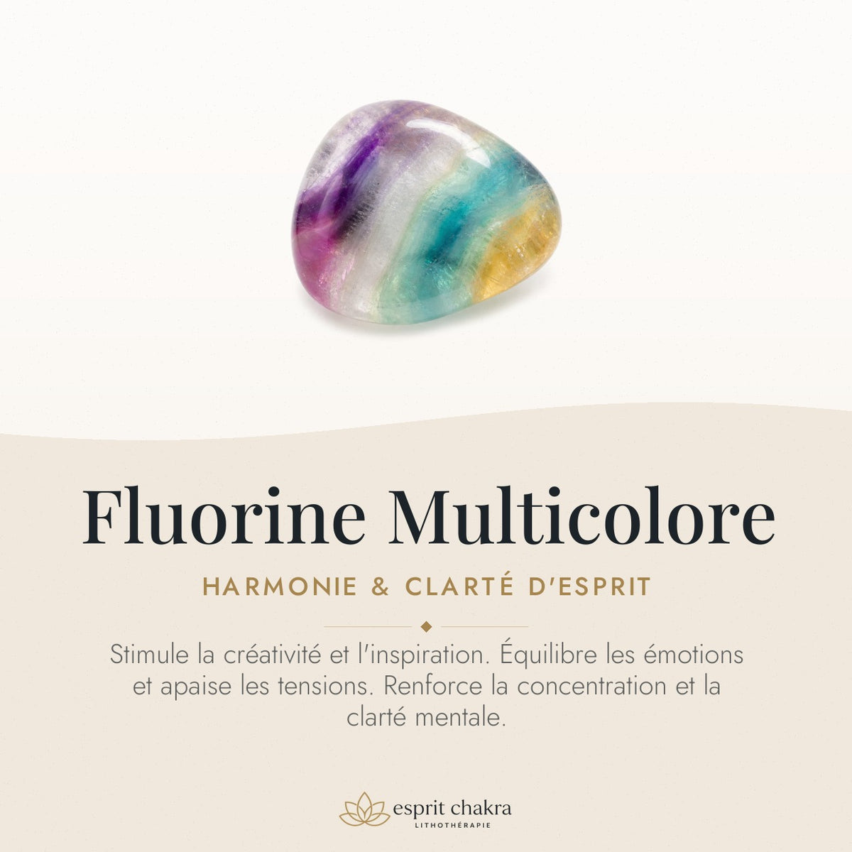 Bracelet Fluorine Multicolore 8 mm – Harmonie des Différences — vertus de la pierre