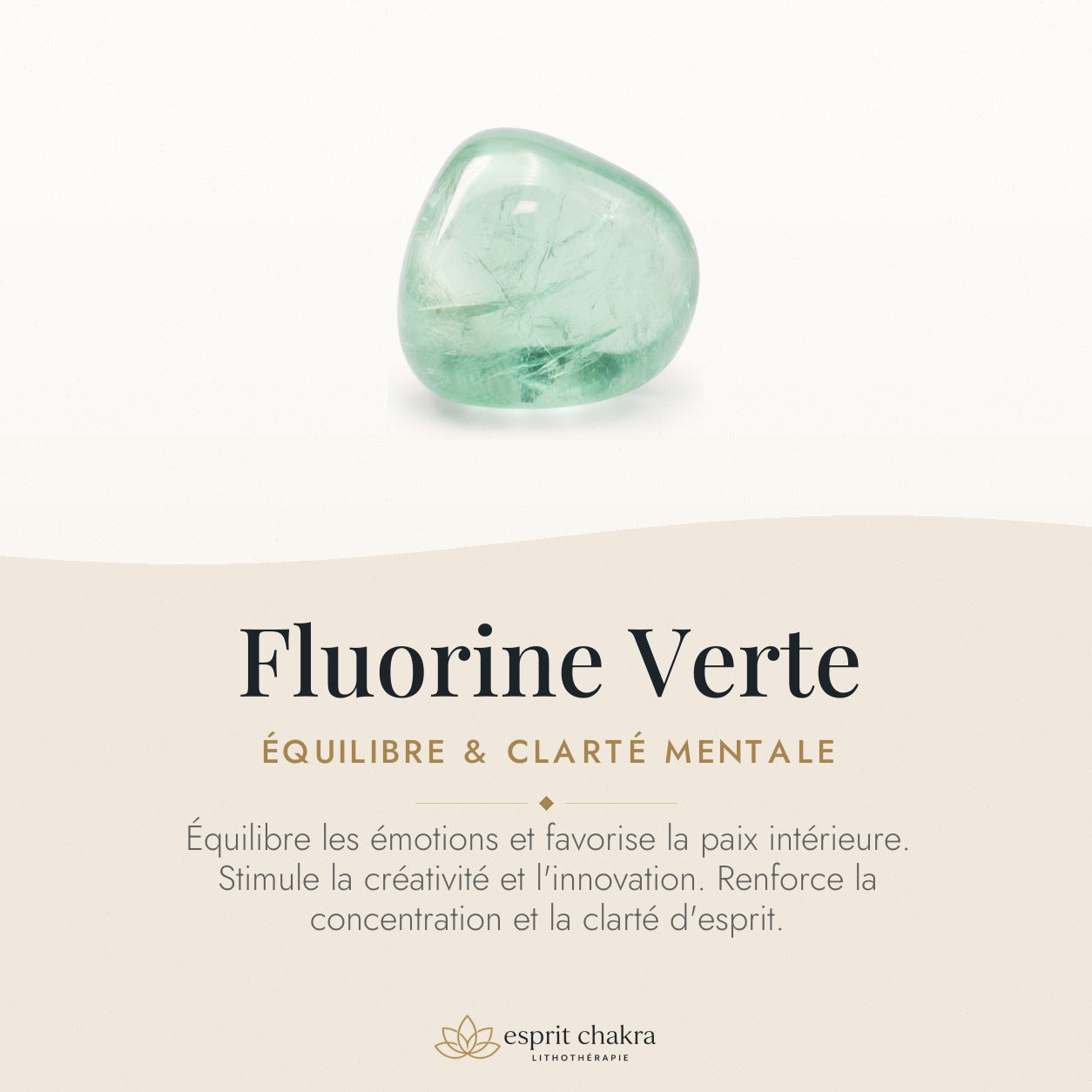 Bracelet Fluorine Verte 8 mm – Clarté de l’Étude — vertus de la pierre