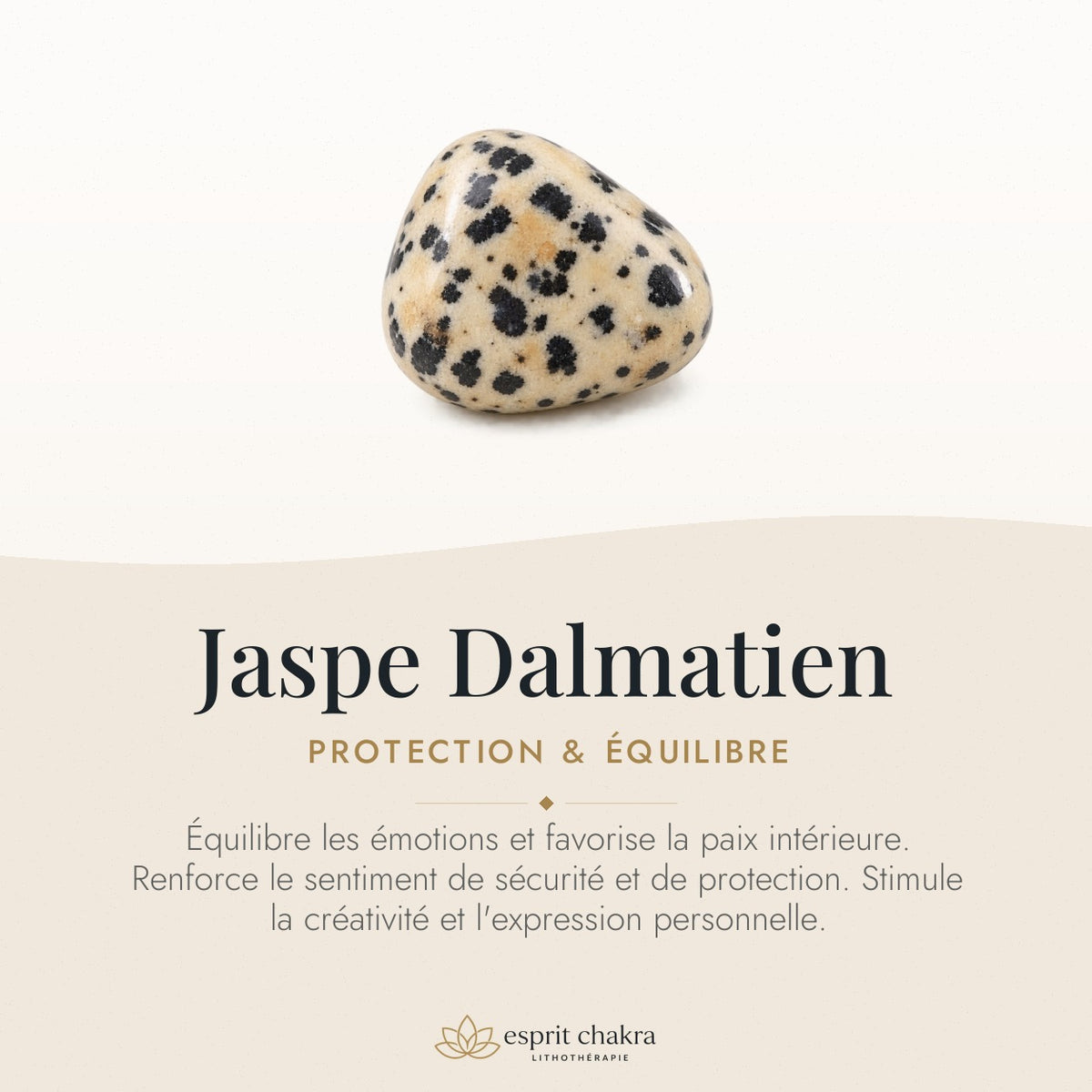 Bracelet Jaspe Dalmatien 6 mm – Joie de la Compagnie — vertus de la pierre