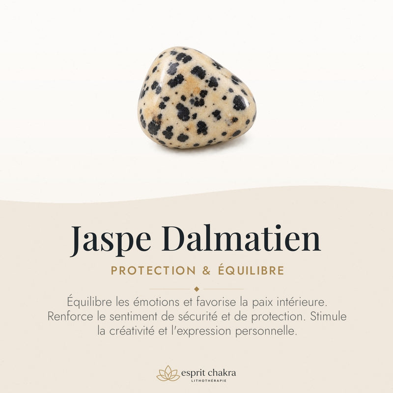 Bracelet Jaspe Dalmatien 6 mm – Joie de la Compagnie