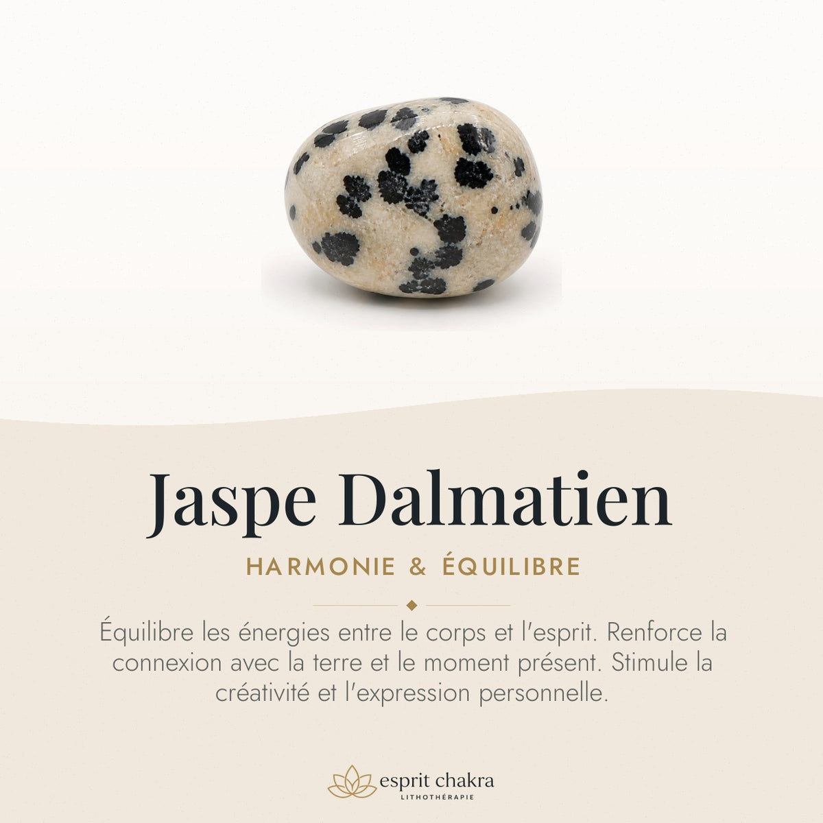 Bracelet Jaspe Dalmatien 8 mm – Cœur Clair — vertus de la pierre