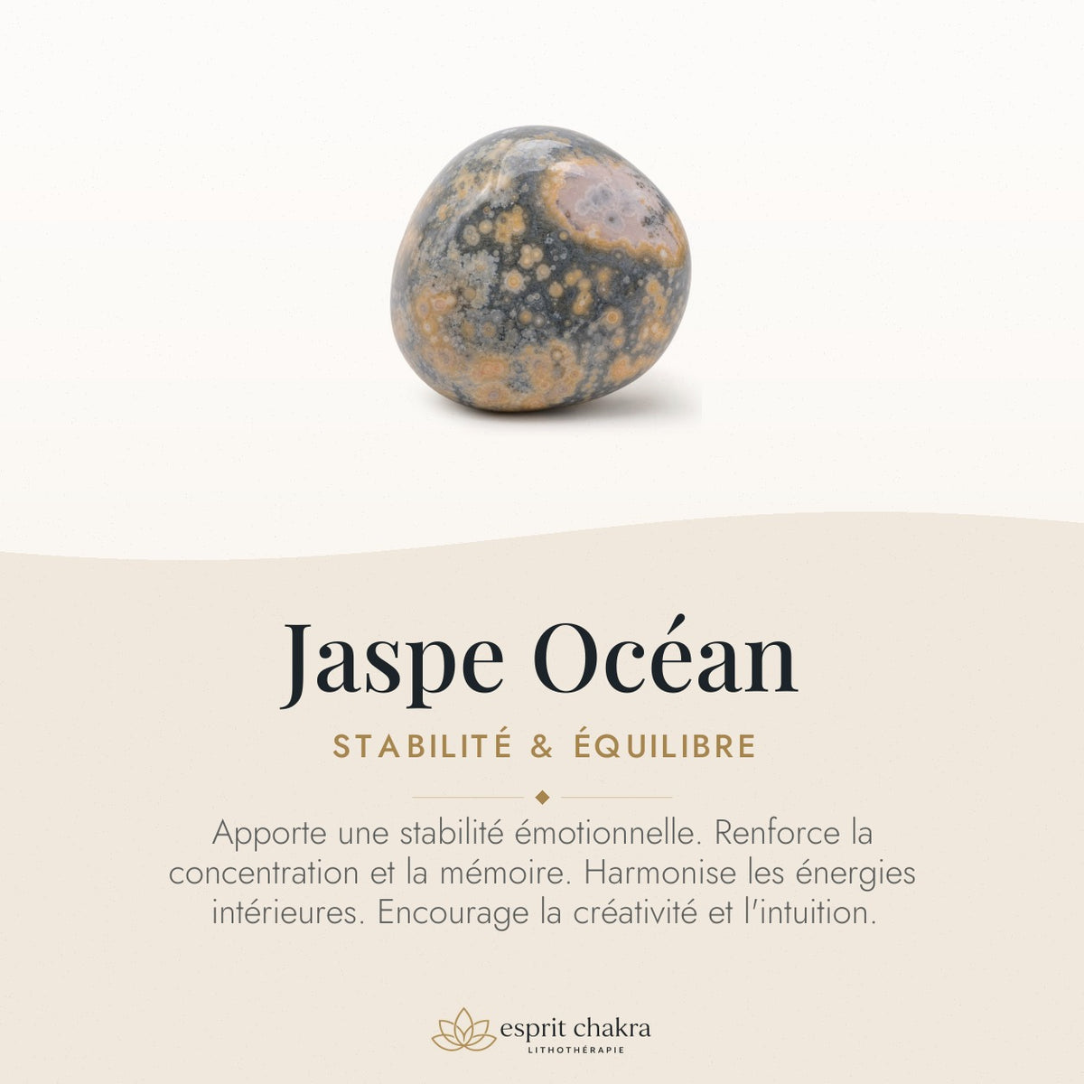Bracelet Jaspe Océan 10 mm – Équilibre des Cycles — vertus de la pierre