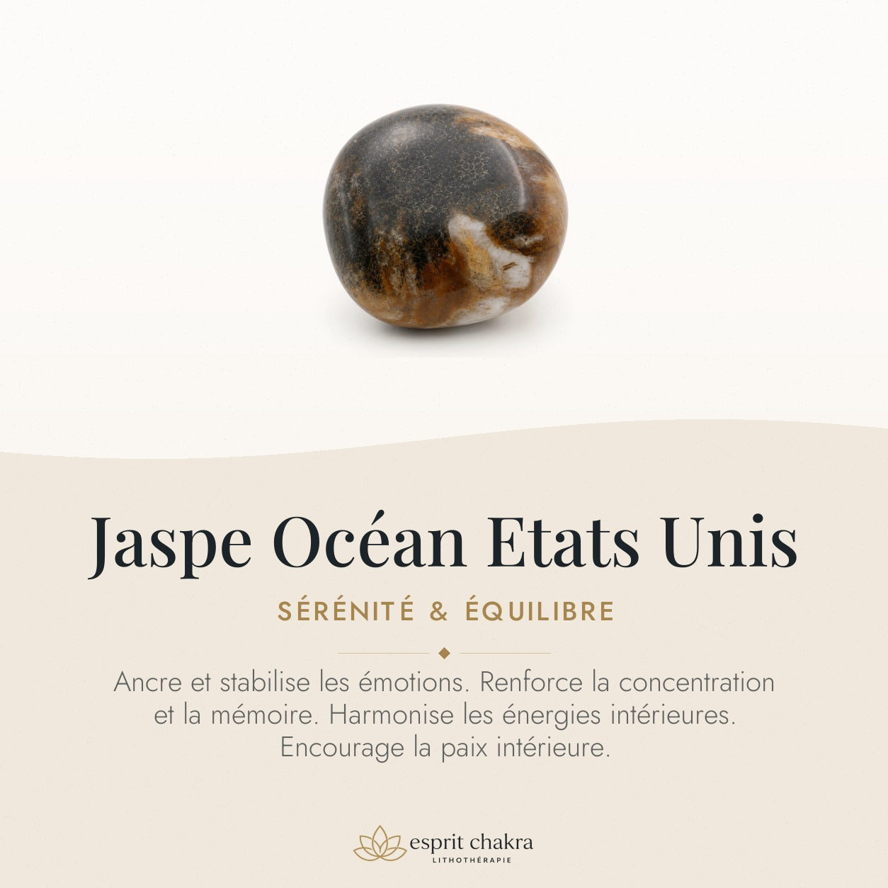 Bracelet Jaspe Océan 8 mm – Élan du Cœur — vertus de la pierre