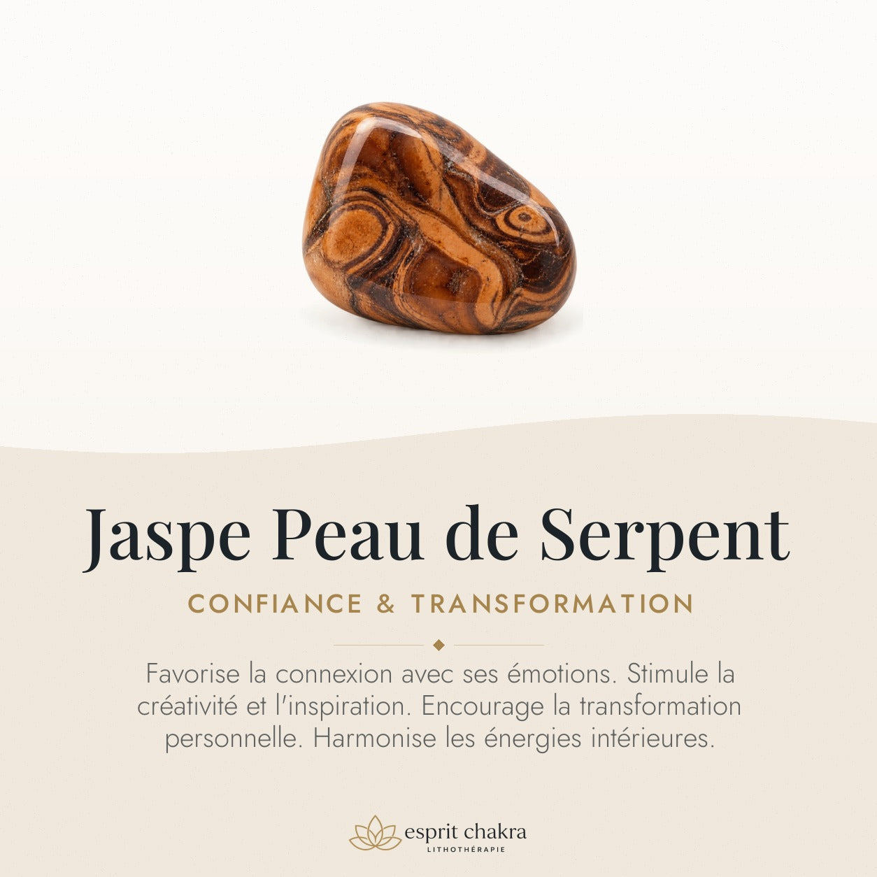 Bracelet Jaspe Peau de Serpent 6 mm – Confiance de la Mue — vertus de la pierre