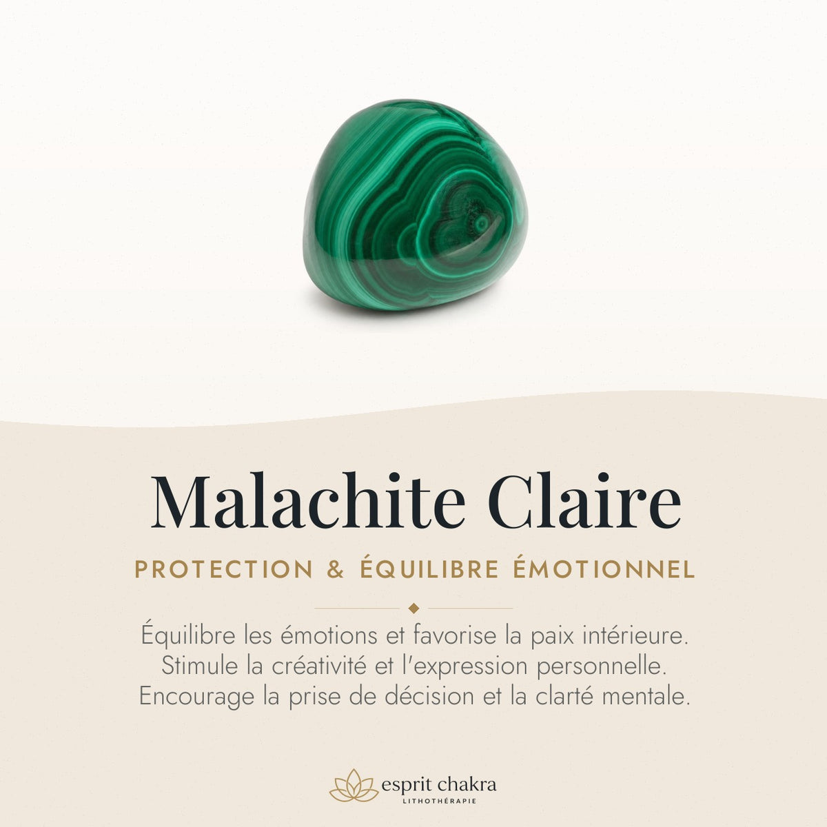 Bracelet Malachite 10 mm – Protection du Cœur — vertus de la pierre