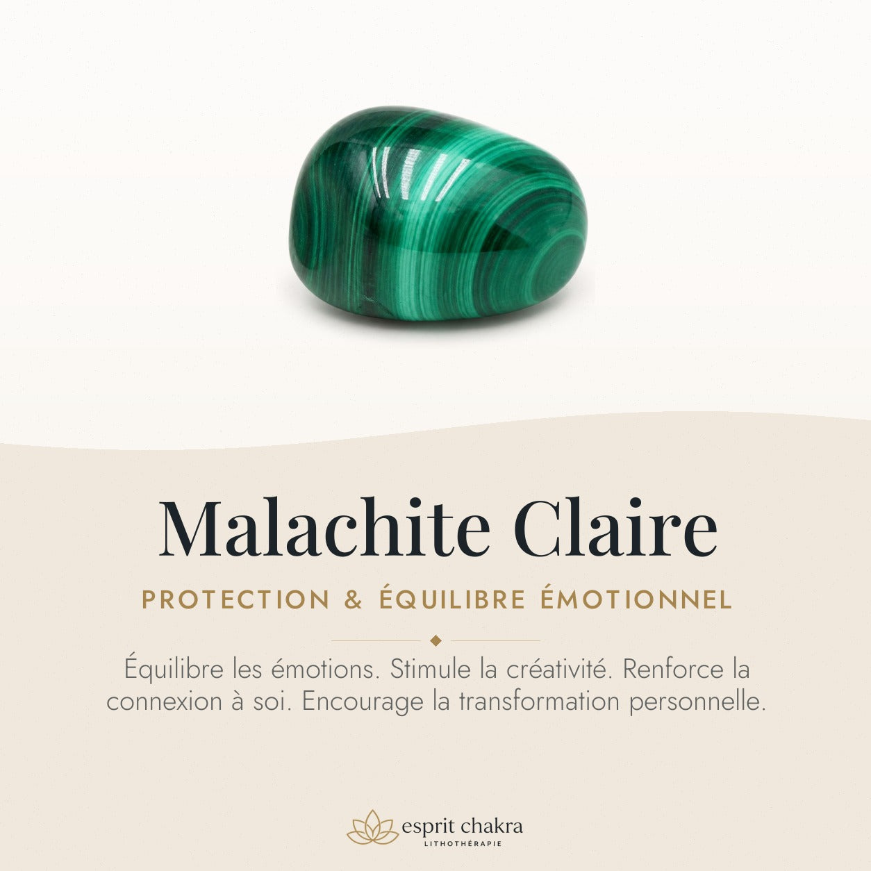 Bracelet Malachite 6 mm – Rayon Doux — vertus de la pierre