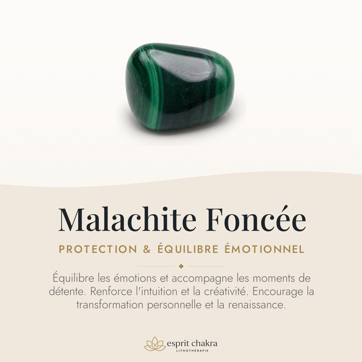 Bracelet Malachite 8 mm – Braise Douce — vertus de la pierre