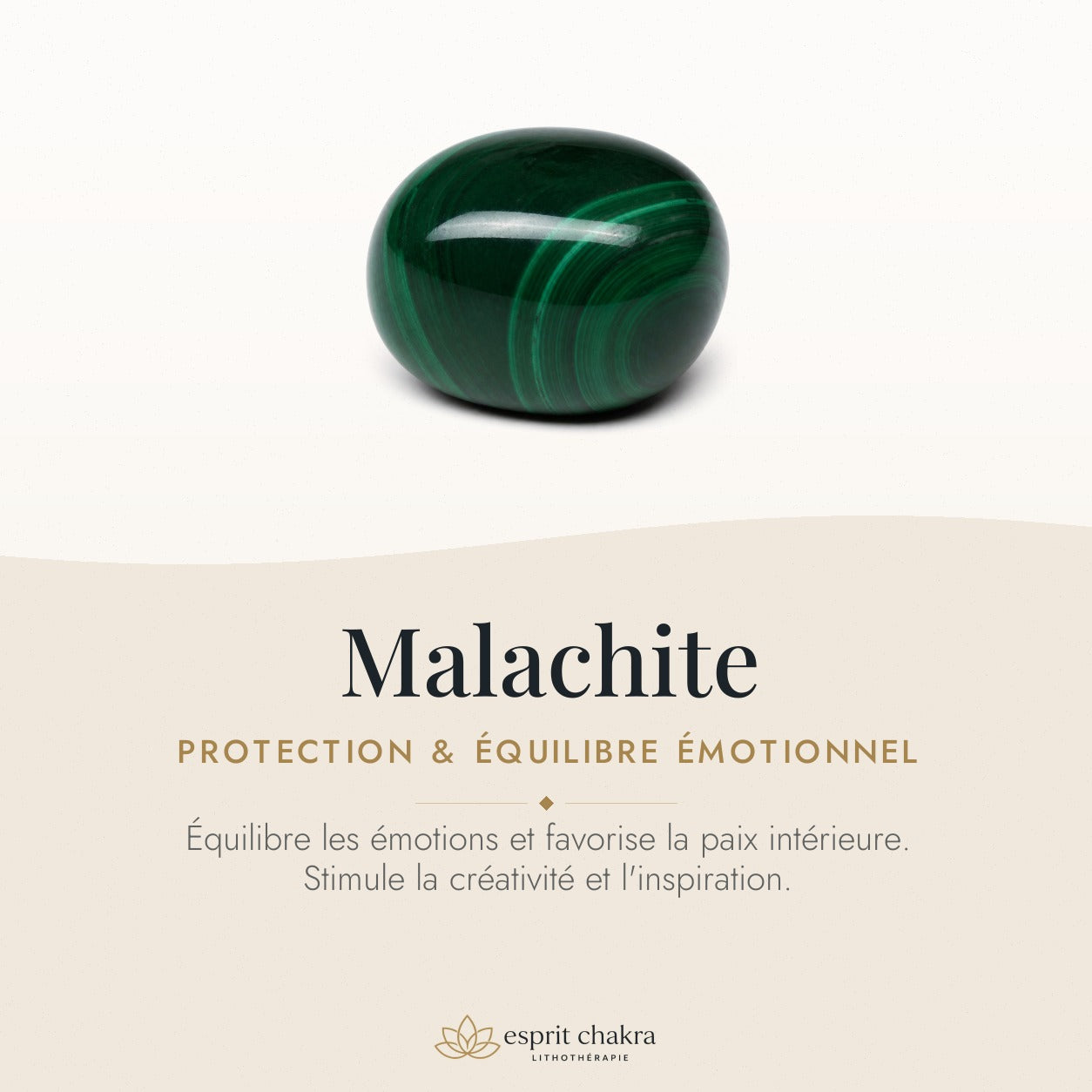 Bracelet Malachite 8 mm – Étincelle Douce — vertus de la pierre