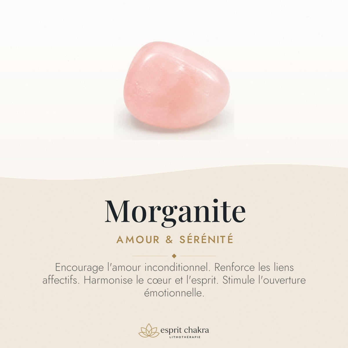 Bracelet Morganite 10 mm – Amour Doux — vertus de la pierre