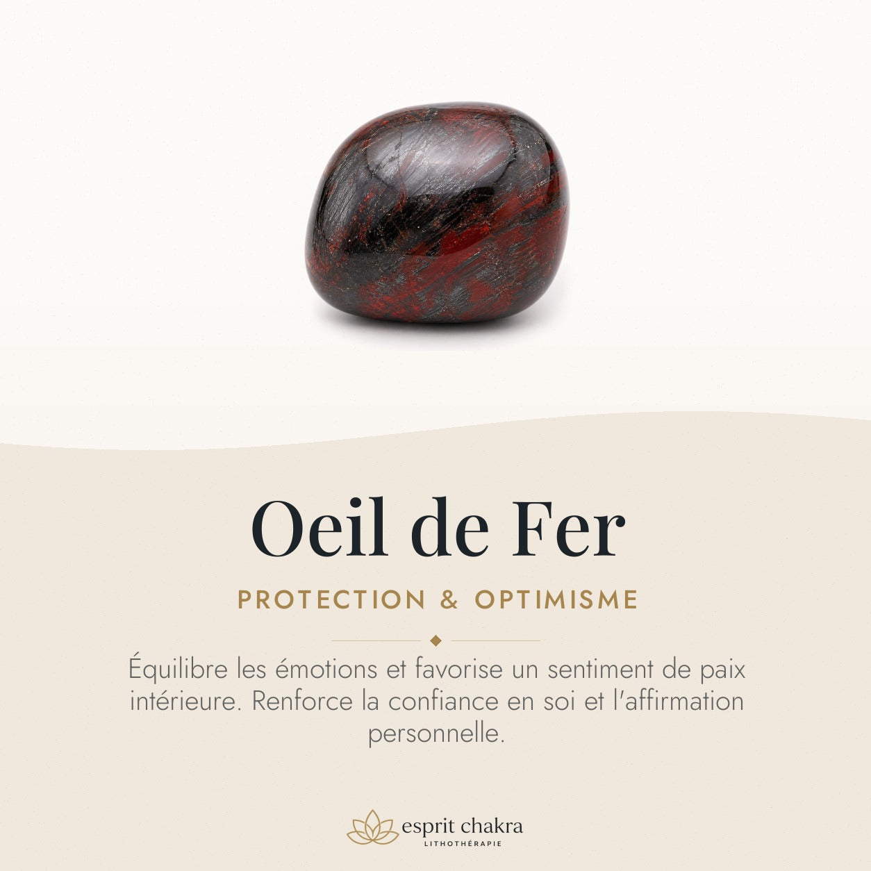 Bracelet Oeil de Fer 10 mm – Force de la Résolution — vertus de la pierre