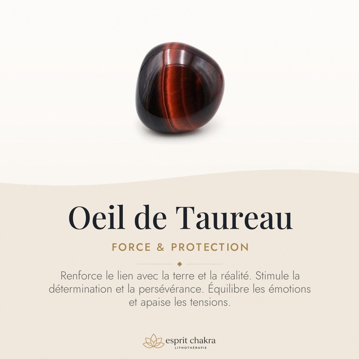 Bracelet Oeil de Taureau 10 mm – Force de la Volonté — vertus de la pierre