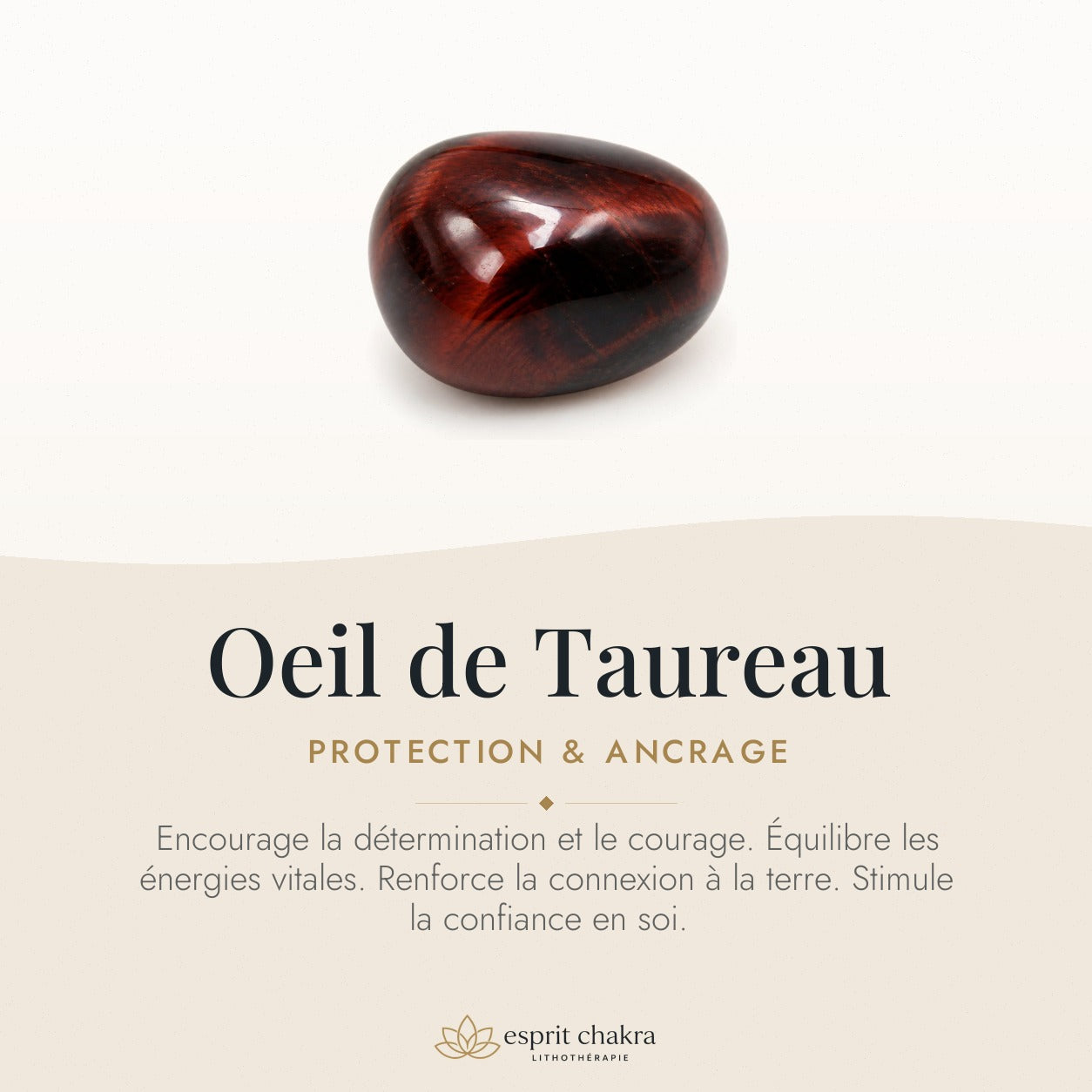 Bracelet Oeil de Taureau 6 mm – Aplomb Tranquille — vertus de la pierre