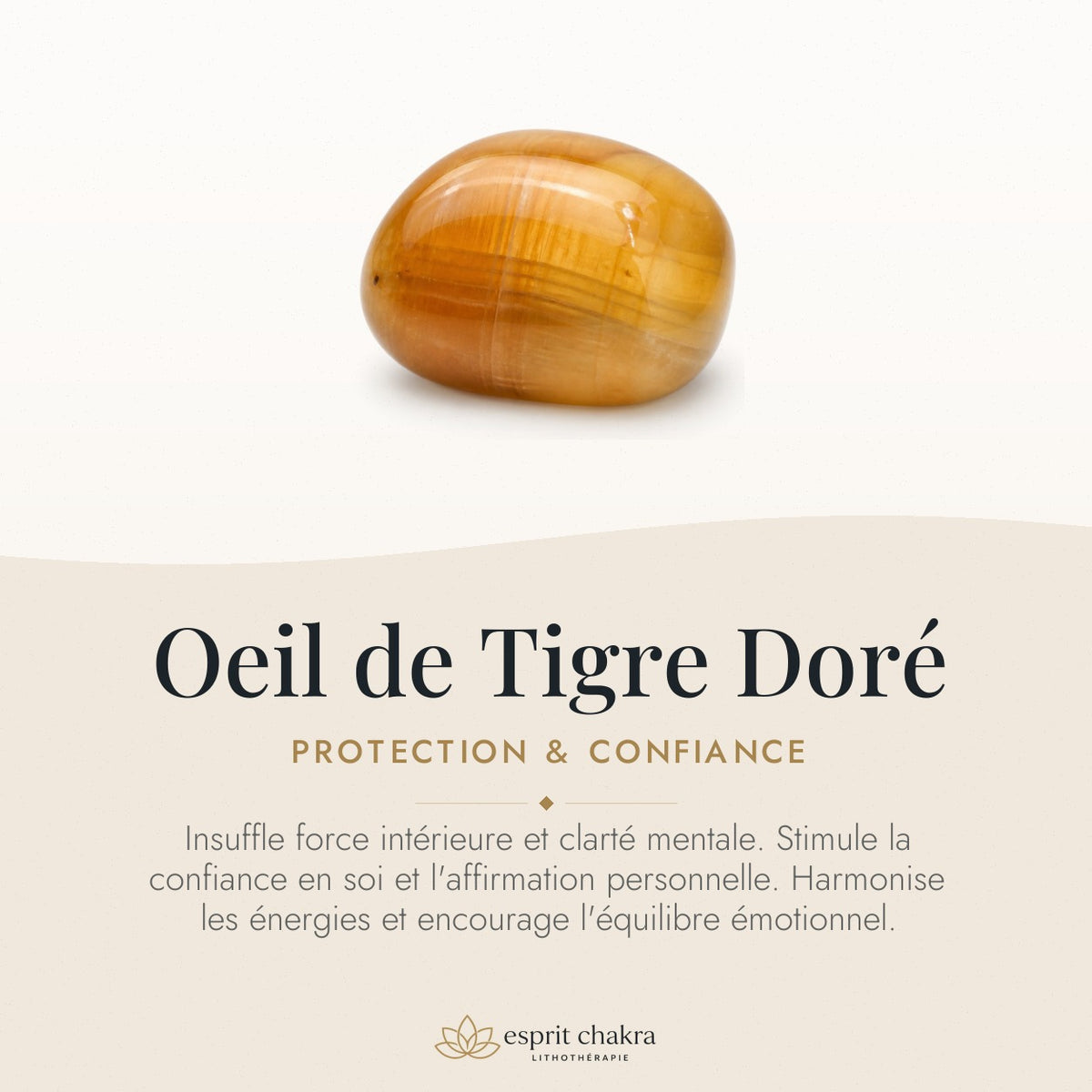 Bracelet Œil de Tigre Doré 6 mm – Racines Douces — vertus de la pierre