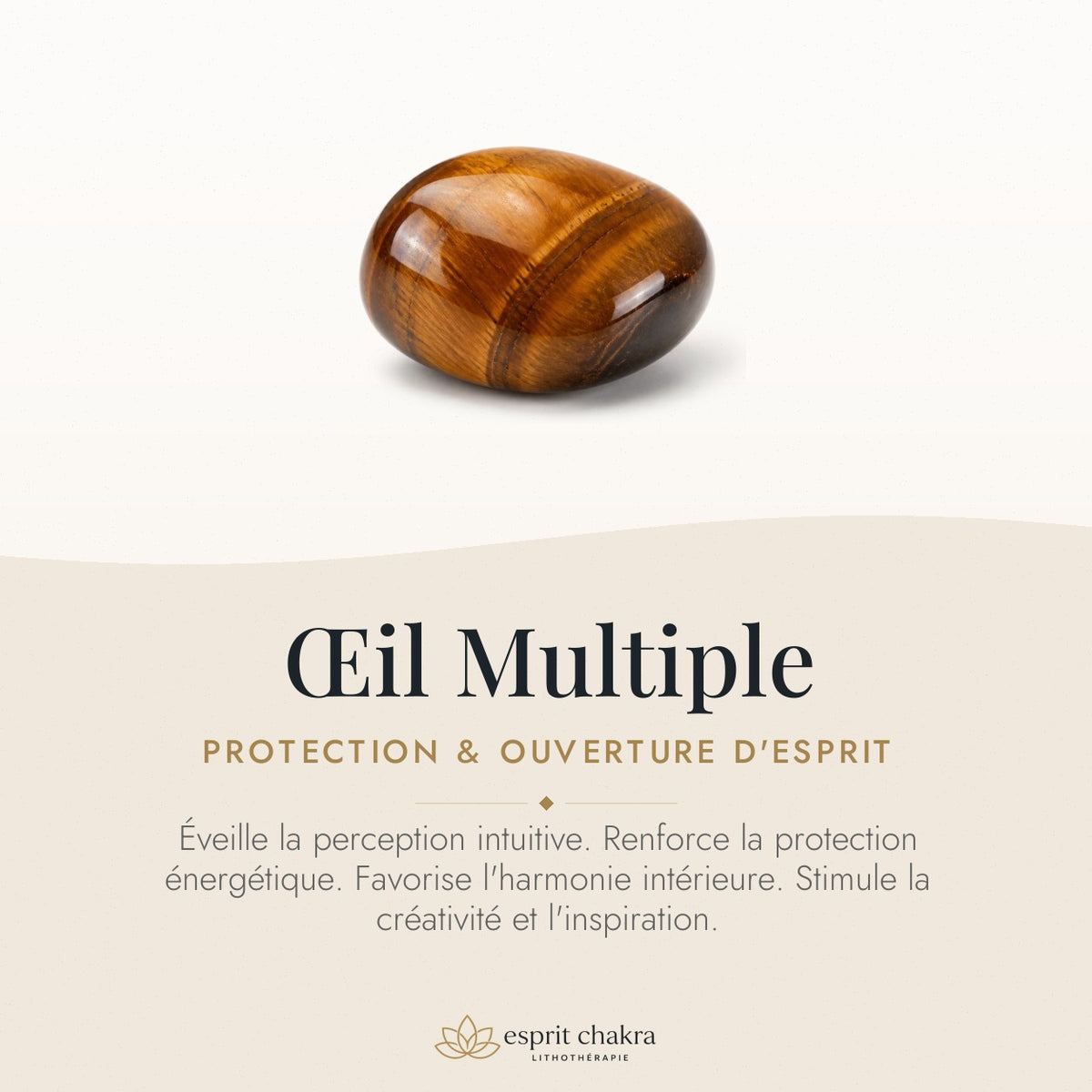 Bracelet Œil Multiple 8 mm – Terre Paisible — vertus de la pierre