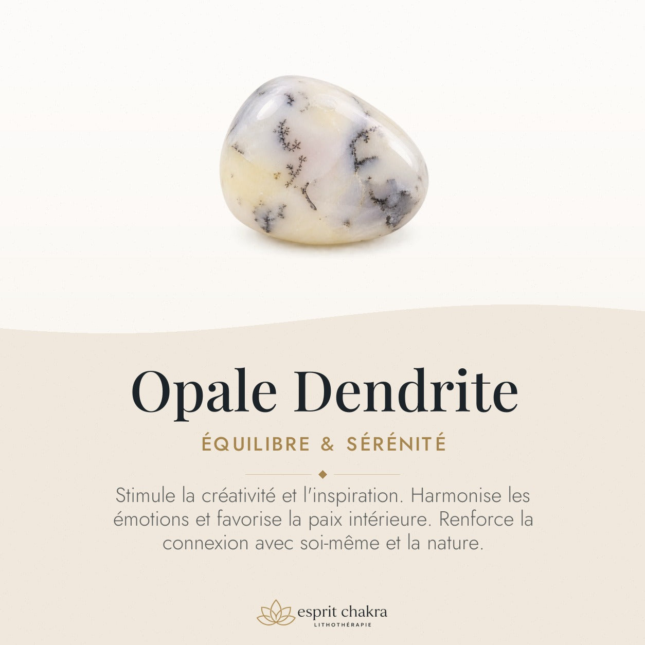Bracelet Opale Dendrite 6 mm – Calme des Racines — vertus de la pierre